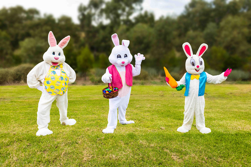 Easter Bunnies Sydney
