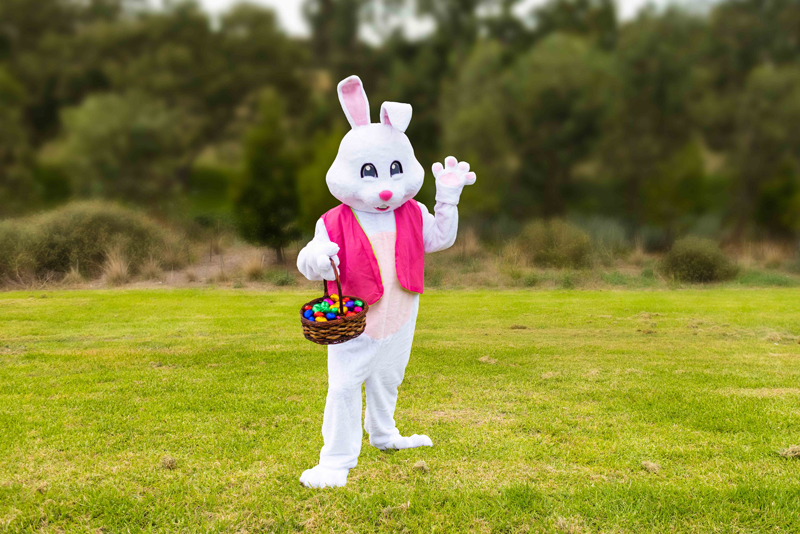 Happy Easter Bunny Brisbane